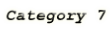 Category 7